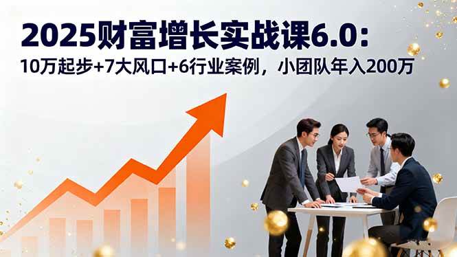 （16004期）2025财富增长实战课6.0：10万起步+7大风口+6行业案例，小团队年入200万-轻合创