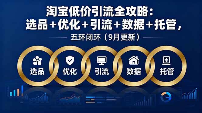 (16009期)淘宝低价引流全攻略:选品+优化+引流+数据+托管,五环闭环(9月更新)-轻合创