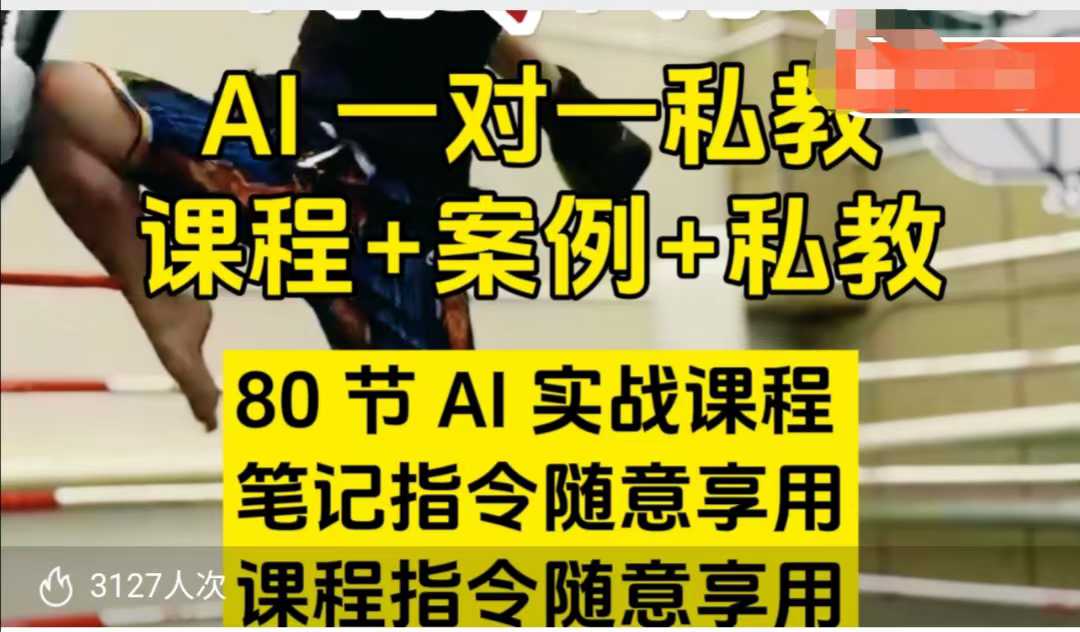 AI指令实战课，课程+案例，80节AI实战课程，笔记指令随意享用，课程指令随意享用（更新7月）-轻合创