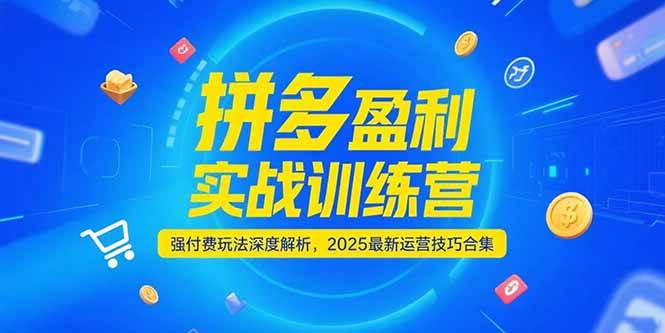 （15183期）拼多多盈利实战训练营，强付费玩法深度解析，2025最新运营技巧合集-轻合创