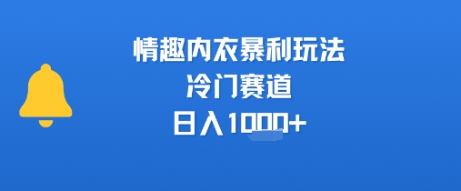 情趣内衣暴利玩法，冷门赛道，日入1k+-轻合创