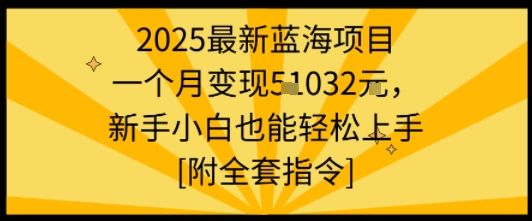 2025最新蓝海项目一个月变现1w+新手小白也能轻松上手【附全套指令】-轻合创
