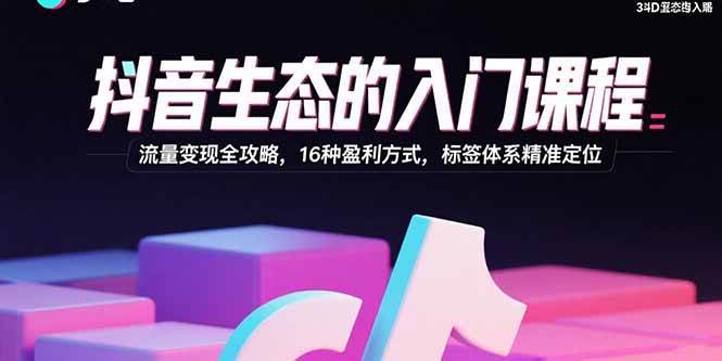 （15856期）抖音生态的入门课程：流量变现全攻略，16种盈利方式，标签体系精准定位-轻合创