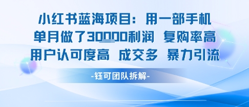 小红书蓝海项目，一部手机单月做了3W利润，小白也能月入过1W用户认可度高成交多-轻合创