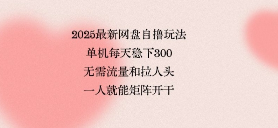 2025最新网盘自撸玩法，单机每天稳下3张，无需流量和拉人头，一个人就可轻松矩阵，全网独一份【揭秘】-轻合创