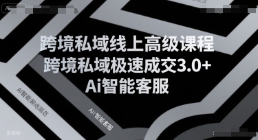 跨境私域线上高级课程，跨境私域极速成交3.0+Ai智能客服-轻合创