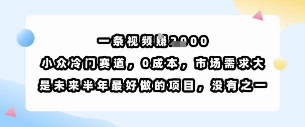 一条视频挣1k，小众冷门赛道，0成本，市场需求大，是未来半年最好做的项目，没有之一-轻合创