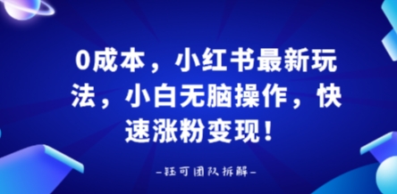 0成本，小红书最新玩法，小白无脑操作，快速涨粉变现-轻合创