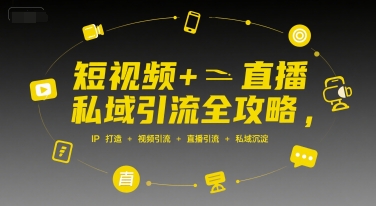 短视频+直播私域引流全攻略，IP打造 +视频引流 +直播引流 +私域沉淀-轻合创