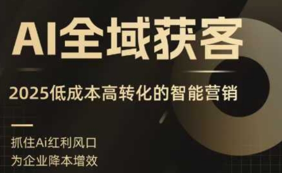 AI全域获客实训营，2025低成本高转化的智能营销，精准找客，高效营销-轻合创