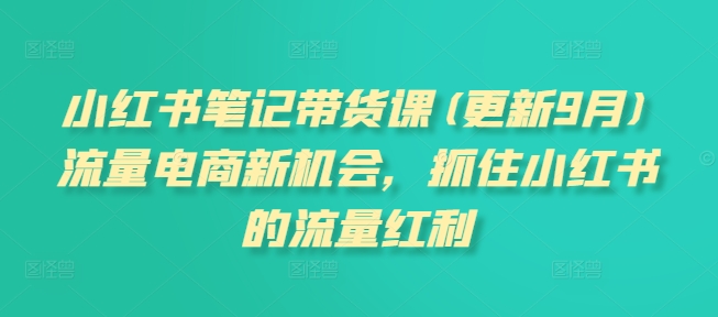 小红书笔记带货课(更新25年6月)流量电商新机会，抓住小红书的流量红利-轻合创