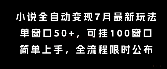 小说全自动变现7月玩法，单窗口50+，可挂100窗口，简单上手，全流程限时公布【揭秘】-轻合创
