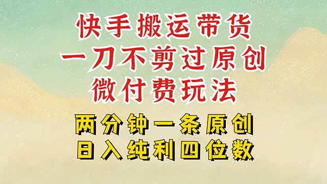 （15577期）快手黑科技搬运带货，一刀不剪过原创，微付费投流玩法，轻松日入四位数…-轻合创