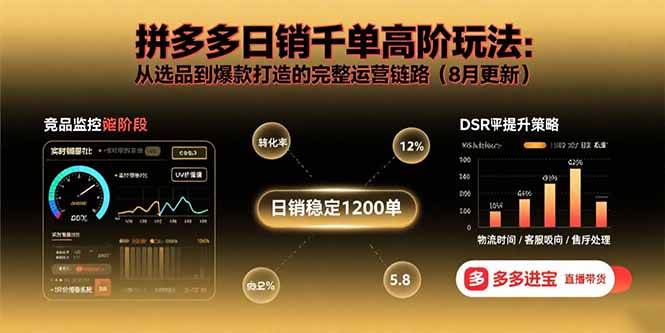 （15850期）拼多多日销千单高阶玩法：从选品到爆款打造的完整运营链路（8月更新）-轻合创